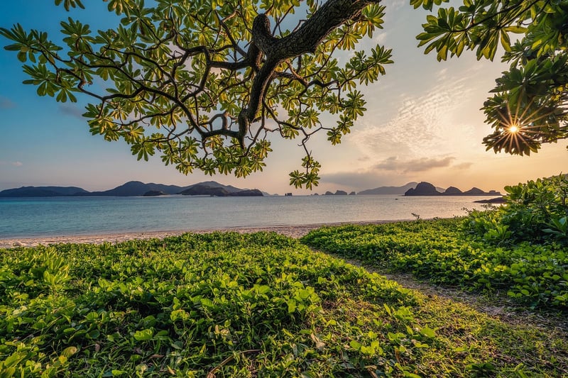 Epic Landscape